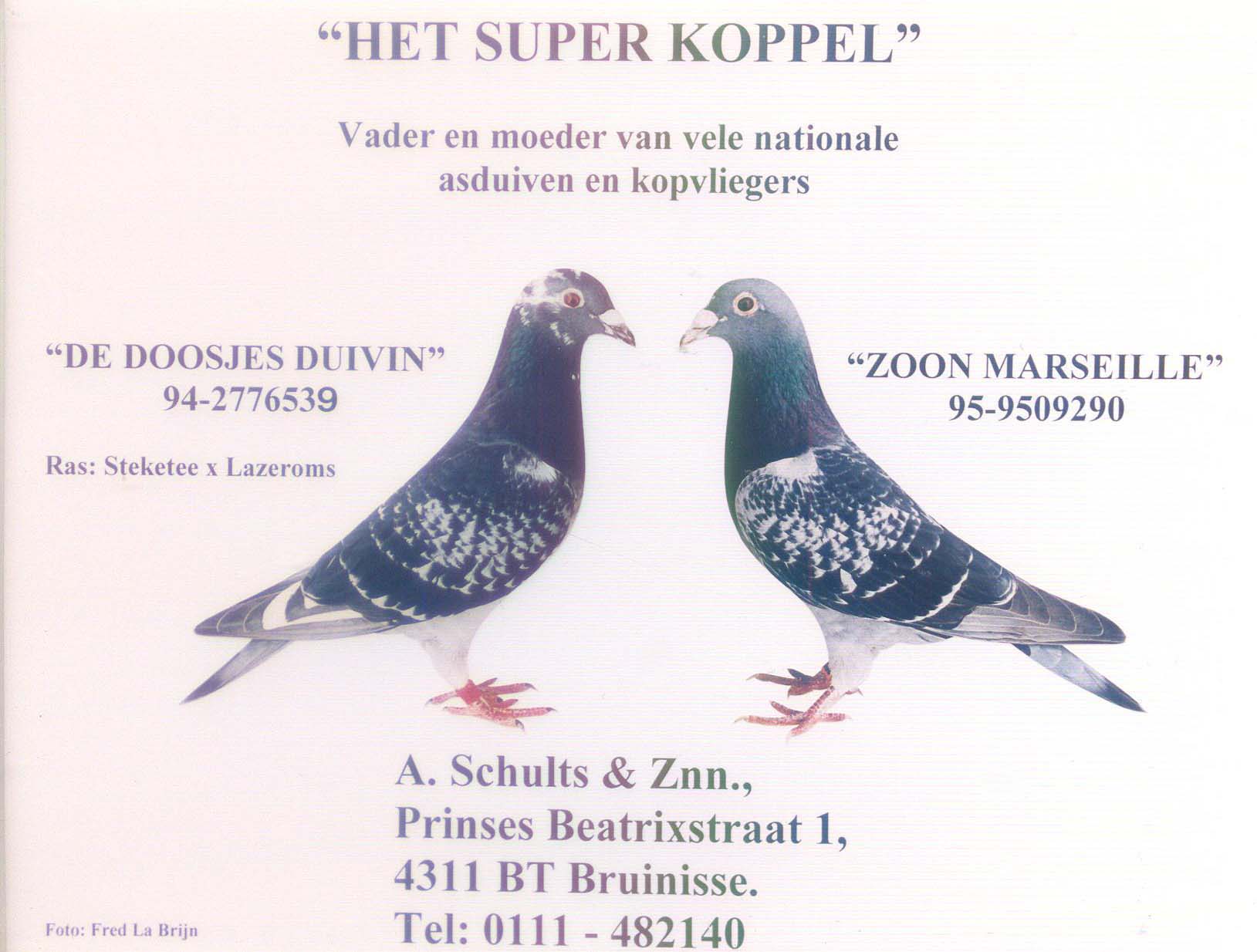 Het superkoppel A.Schults